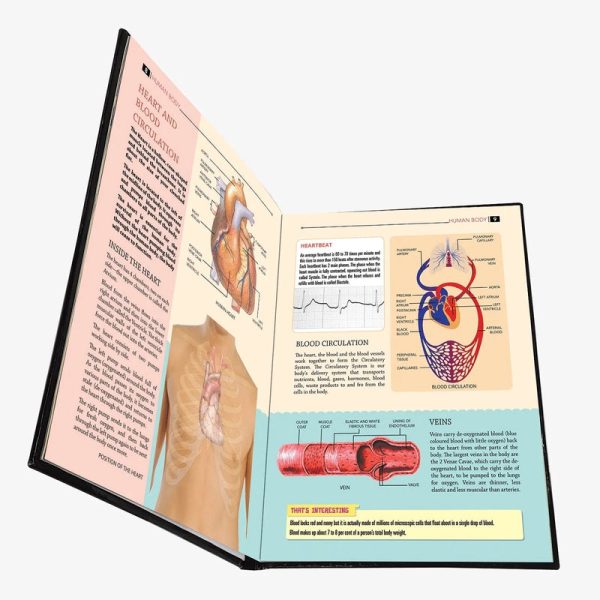 My Encyclopaedia Library Human Body Reading Book Sale