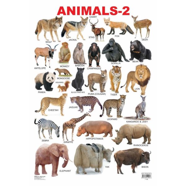 Animals-2 Wall Chart on Sale